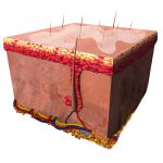 Applicando Il gel BabyBene sulle croste secche, queste si sciolgono