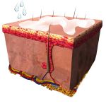 Alcune gocce di acqua tiepida sul gel lo trasformano in un'emulsione lattiginosa